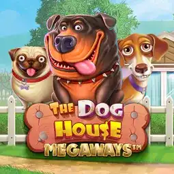 The Dog House Megaways game at Neospin Casino for Australia players The Dog House Megaways game at Neospin Casino for Australia players